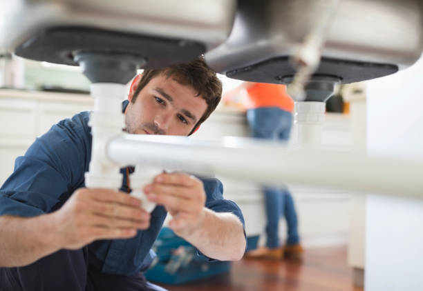 Best Clogged Drain Plumber  in Paoli, IN